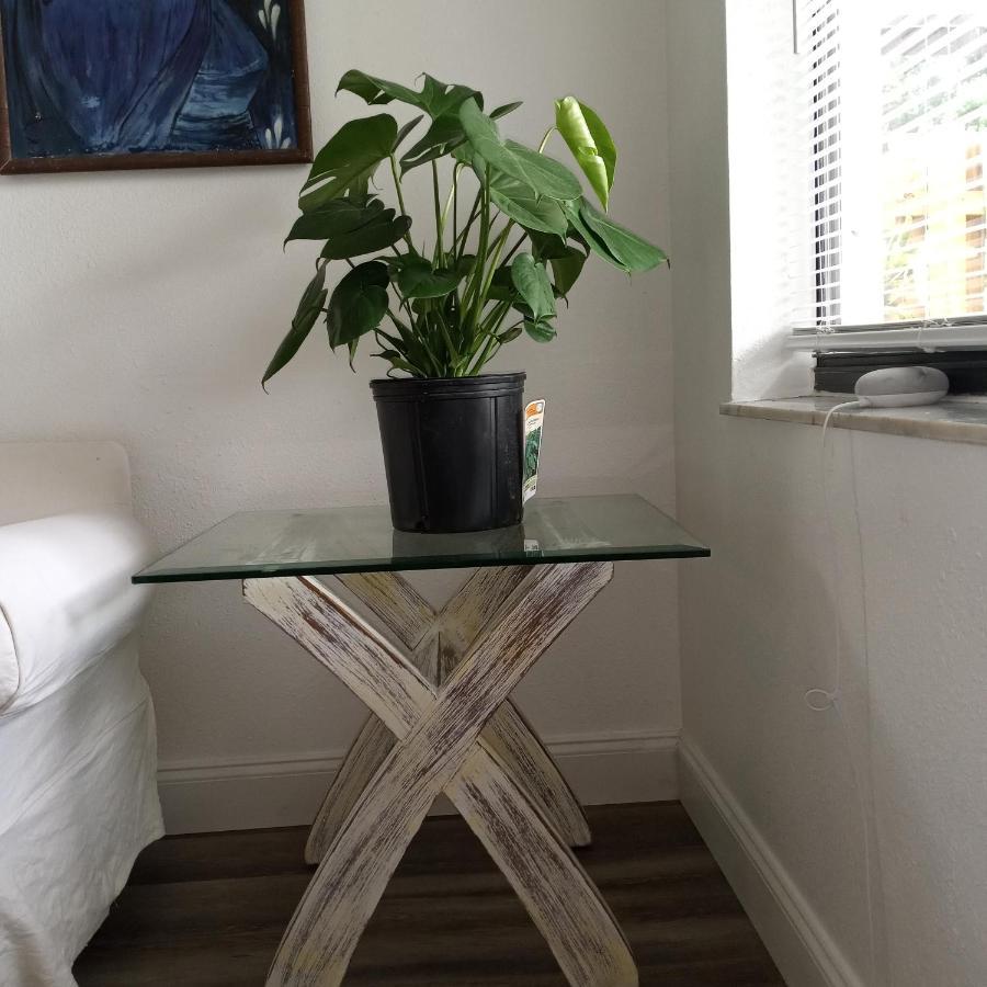劳德代尔堡Tropical Hideaway!公寓 外观 照片